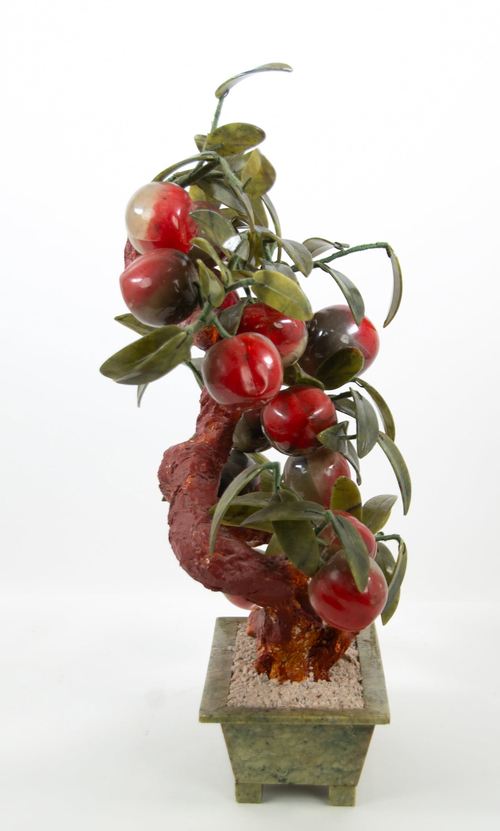 Chinese Peach Tree - 5