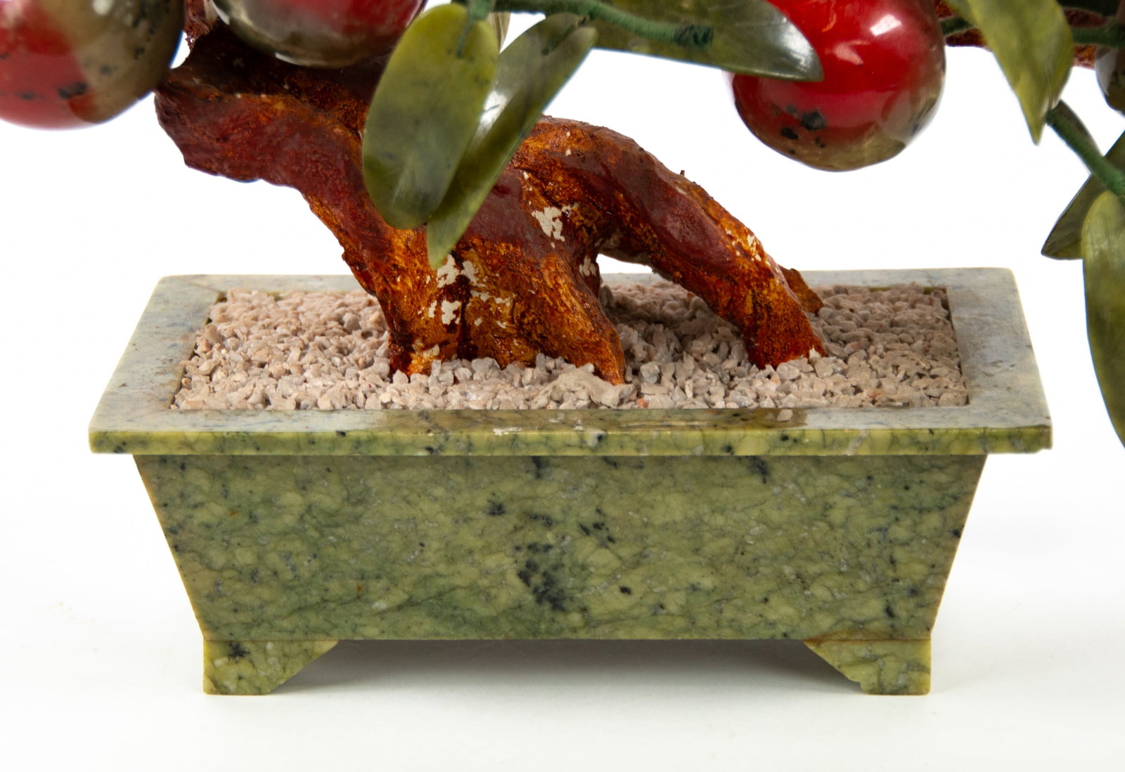 Chinese Peach Tree - 6
