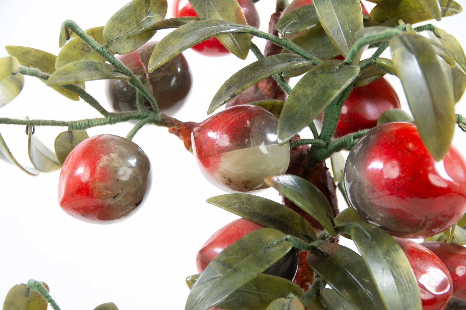 Chinese Peach Tree - 8