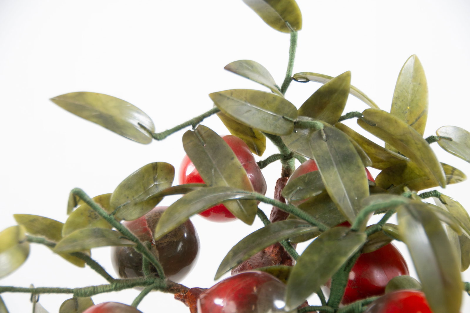 Chinese Peach Tree - 9
