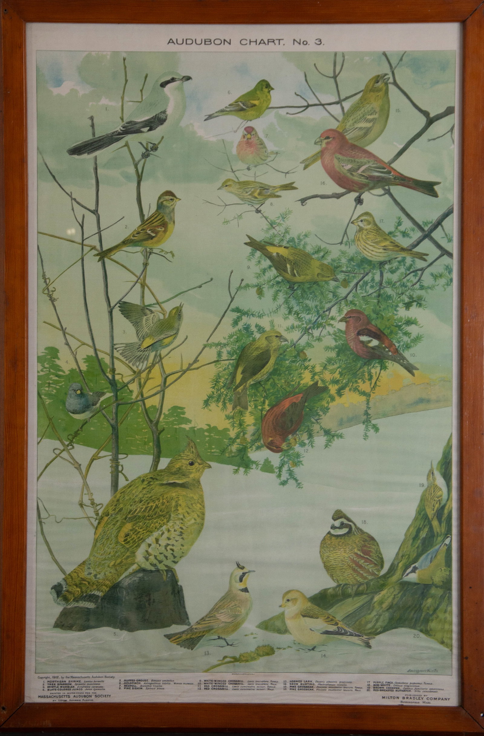 Audubon Bird Chart Poster, Louis Agassiz Fuertes: ? 1912; "Audubon Chart No. 3"; vintage educational wall poster to teach bird identification; painted in watercolor for the Massachusetts Audubon Society by Louis Agassiz Fuertes; published by Milton