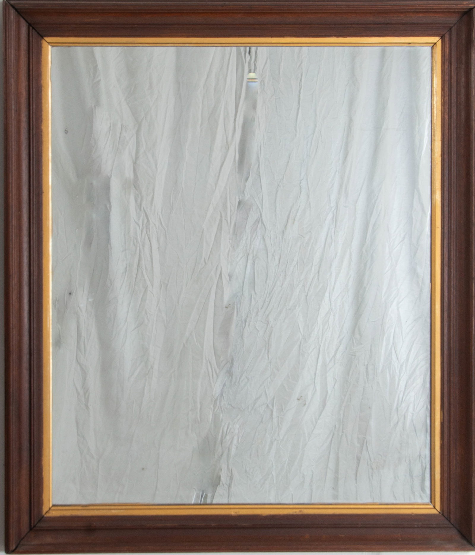 Two 19th Frames, Currently w/ Mirrors - 3