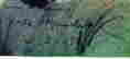item-15481588=4