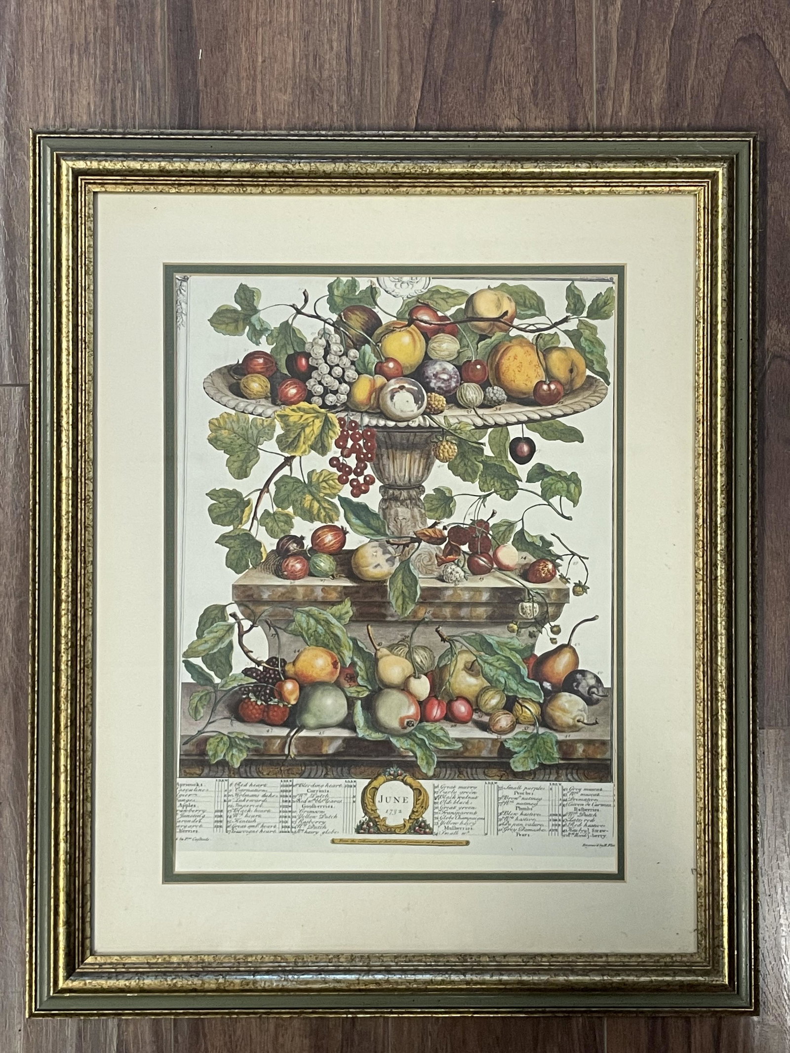 Rob Furber Gardiner Flower Botanical 1730: Rob Furber Gardiner Flower Botanical Sept 1730, 23x19, nice frame