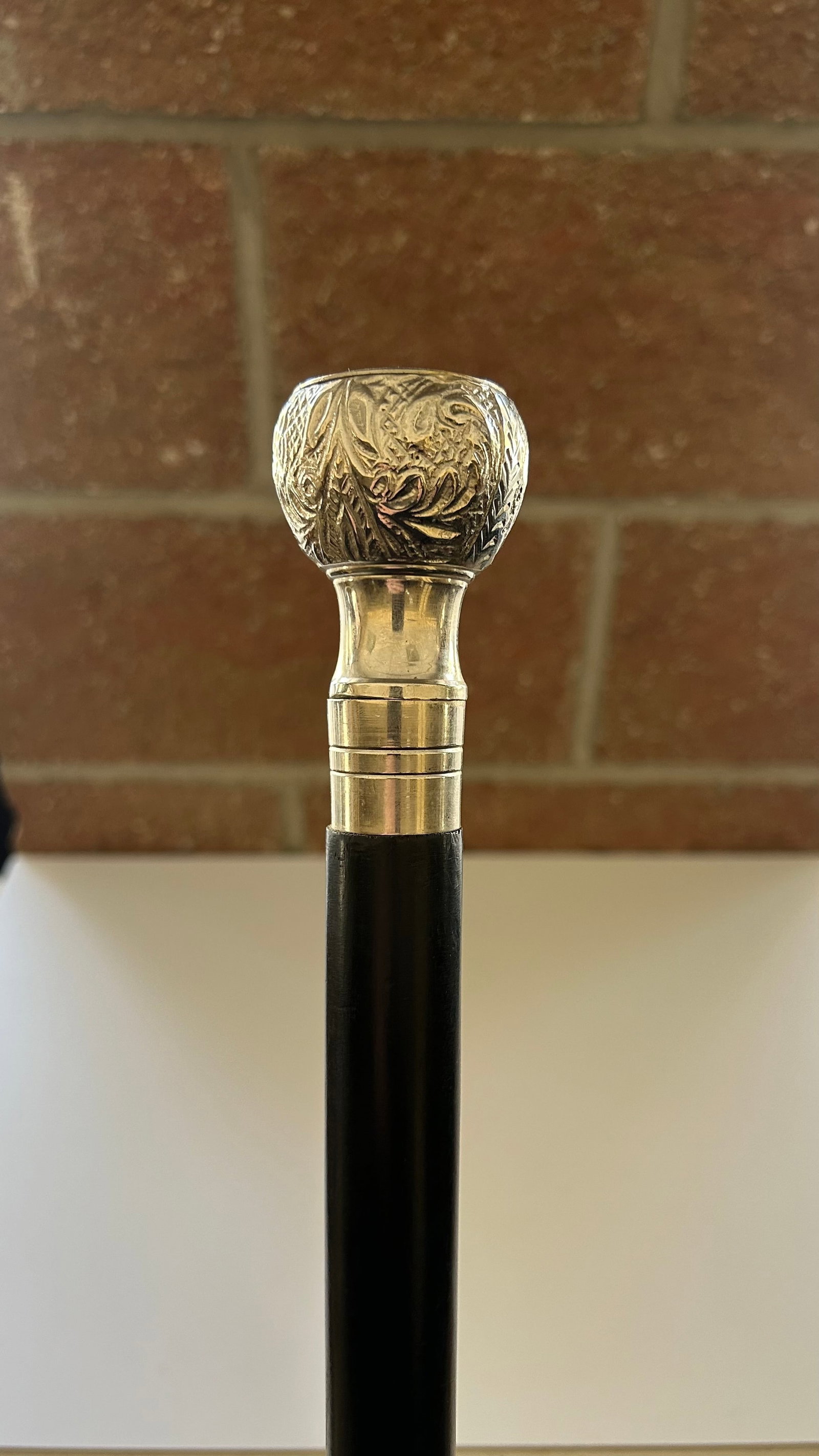 VICTORIAN STYLE COMPASS CANE (1 of 4)