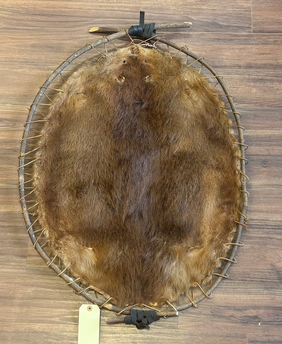 BEAVER HIDE STRECHED OVER HOOP FRAME (1 of 3)
