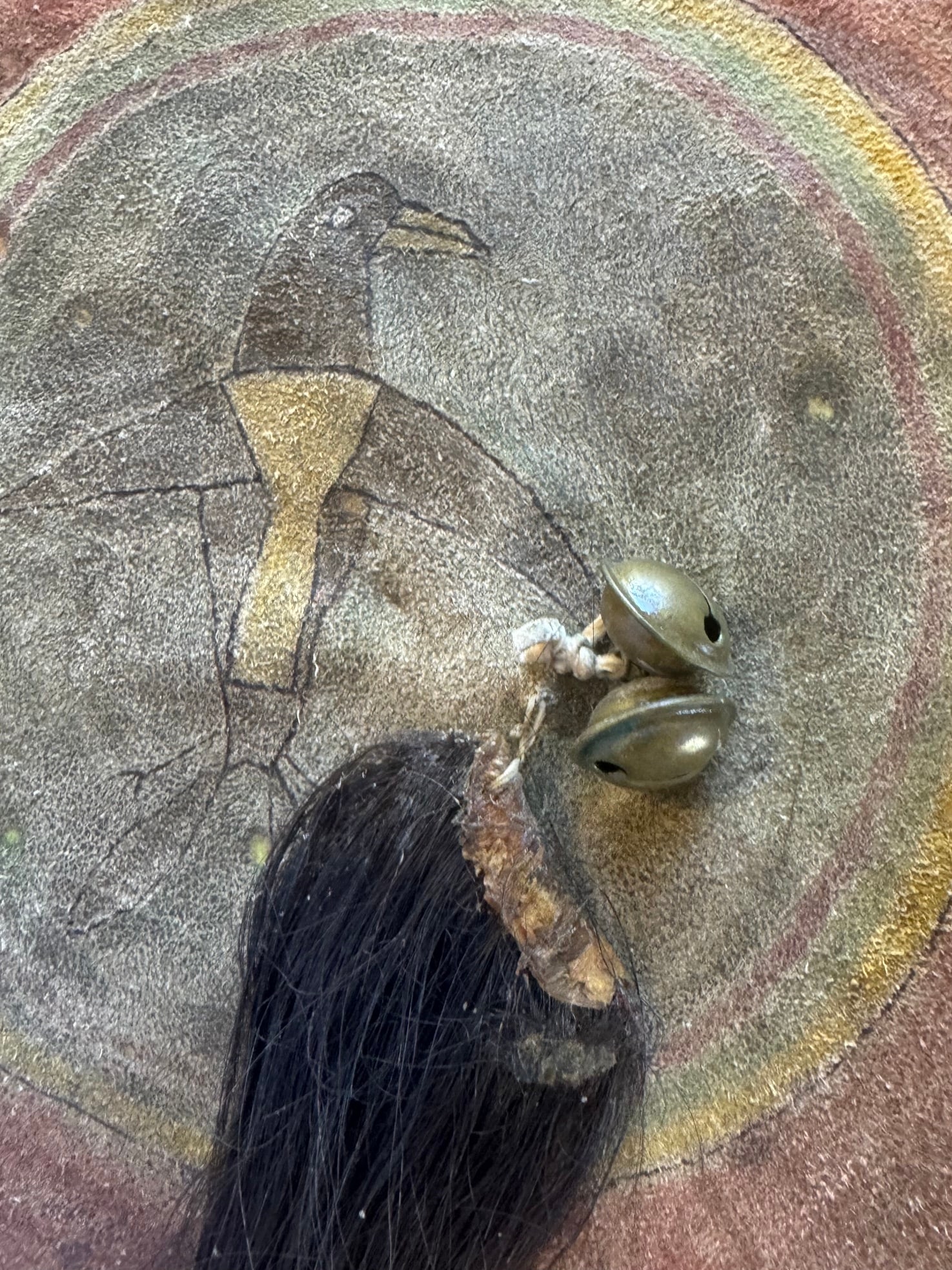 1850 WAR SHIELD / BUFFALO RAWHIDE - 3