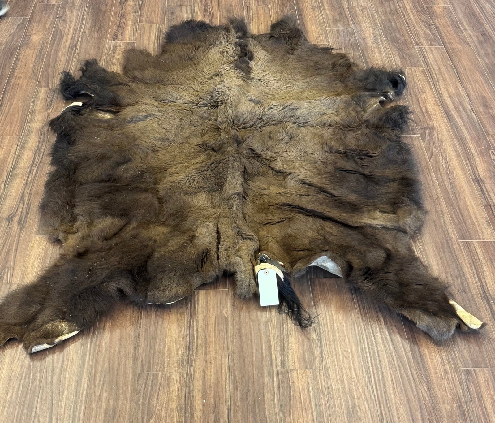 BISON (BUFFALO) HIDE: THIS APPEARS TO BE A NATURAL BISON (BUFFAO) HIDE.BISON HIDES ARE HIGHLY PRIZED FOR THEIR UNIQUEQUALITIES. DENSE WOOL LIKE HAIRS, NOTICEABLY HEAVIER, THICKER, AND WARMER THAN STANDARD HIDES.PROVENANCE: