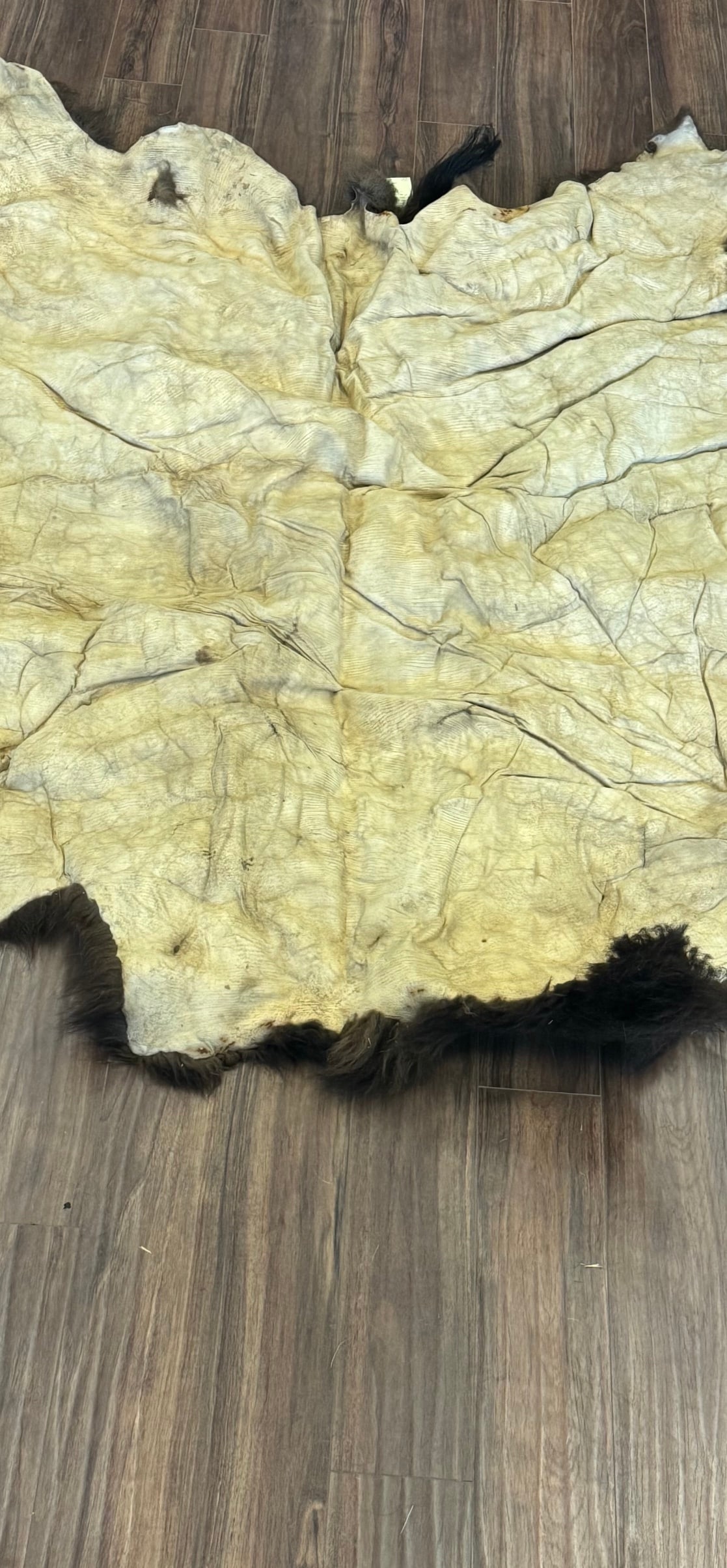 BISON (BUFFALO) HIDE - 3