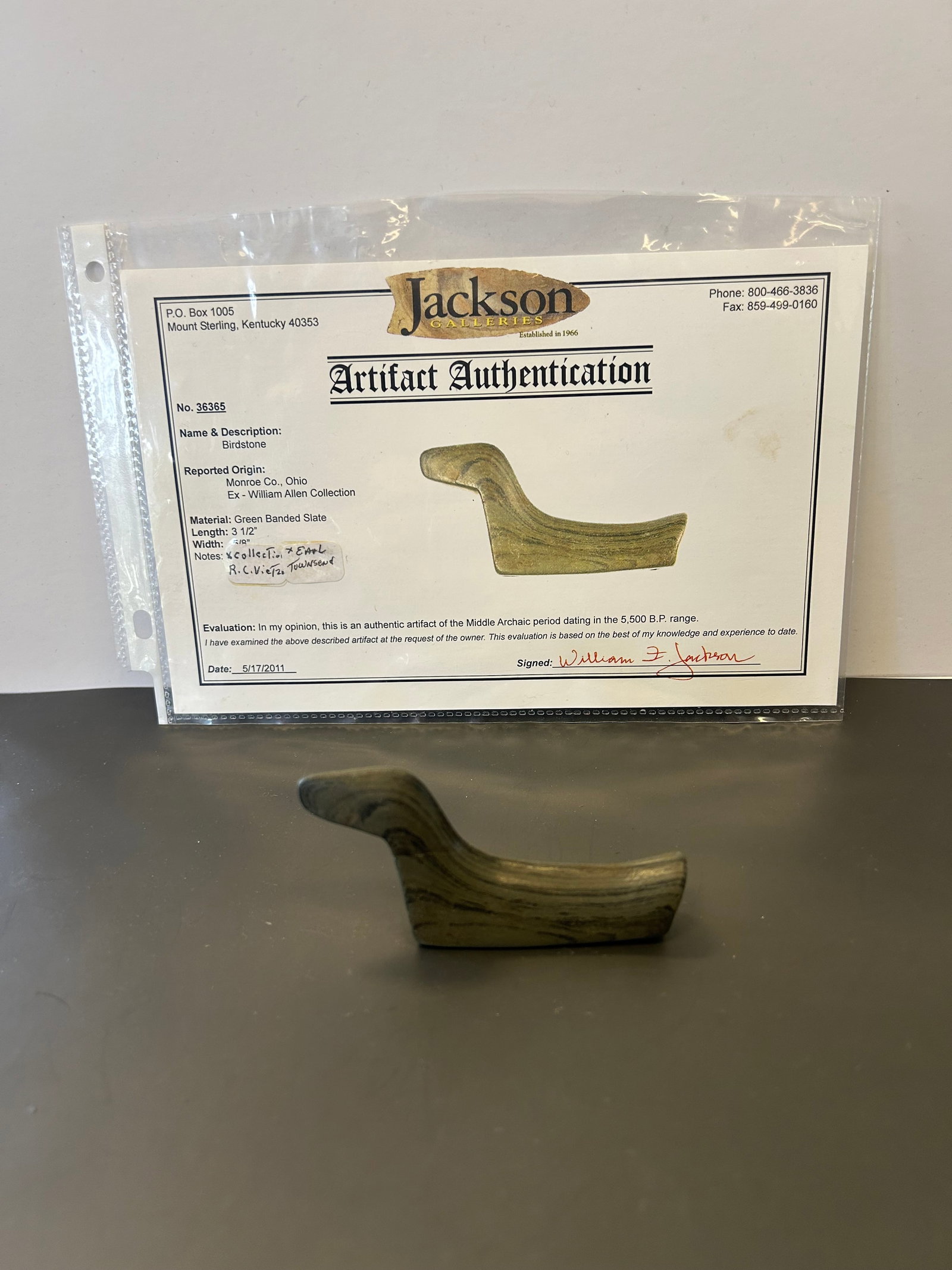 ARCHAIC GREEN BANDED SLATE BIRDSTONE: FINELY POLISHED GREEN BANDED SLATE BIRDSTONE, REPORTED FROM MONROE COUNTY, OHIO, EX-WILLIAM ALLEN COLLECTION. MEASURES APPROX: 3.5" IN LENGTH. ACCOMPANIED BY A 2011 JACKSON GALLERIES AUTHENTICATION