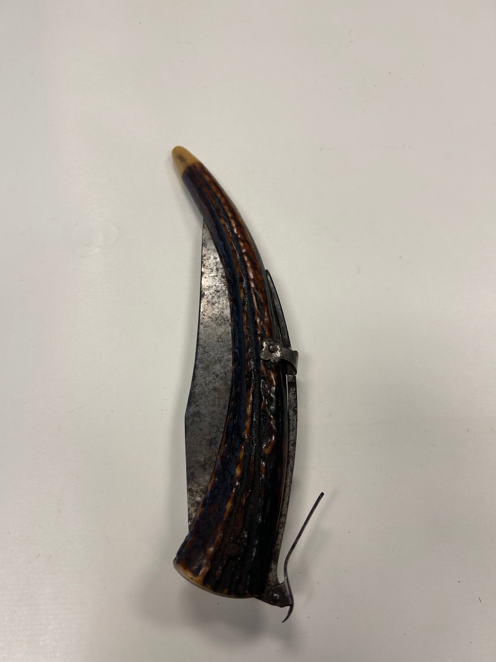 ANTIQUE STAG HANDLE FOLDING KNIFE: EYE CATCHING UNMARKED FOLDING SLASP KNIFE FEATURING A DRAMATICALLY CURVED STAG ANTLER HANDLE AND APPROX. 6 INCH BLADE. DISPLAYS HEAVY OXIDATION, PITTING, AND AGE RELATED WEAR. PROVENANCE: ESTATE OF DO