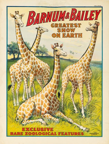 Barnum & Bailey / Rare Zoological Features. 1909: Artist: ANONYMOUS Size: 30 1/4 x 40 1/8 in./77 x 102 cm Strobridge Litho, Cincinnati
