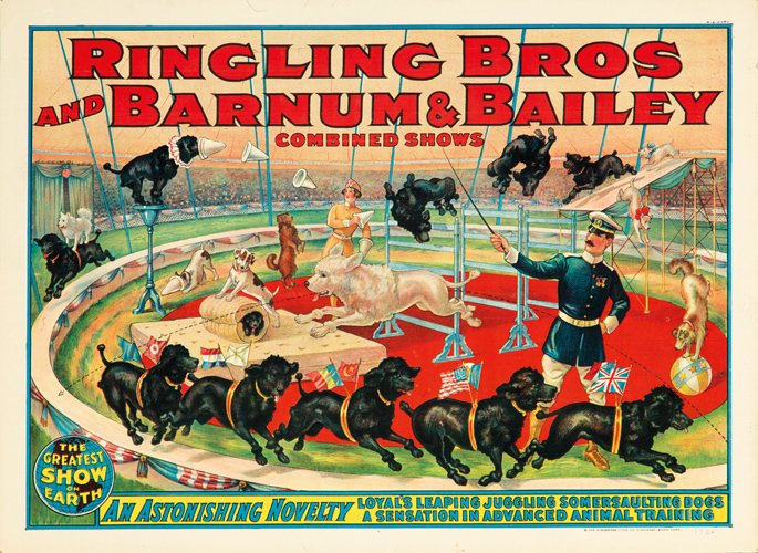 Ringling Bros and Barnum & Bailey / Loyal’s Leaping: Artist: ANONYMOUS Size: 28 3/4 x 20 1/4 in./70.5 x 51.4 cm Strobridge Litho, Cincinnati This is the half sheet horizontal format version of this poster.