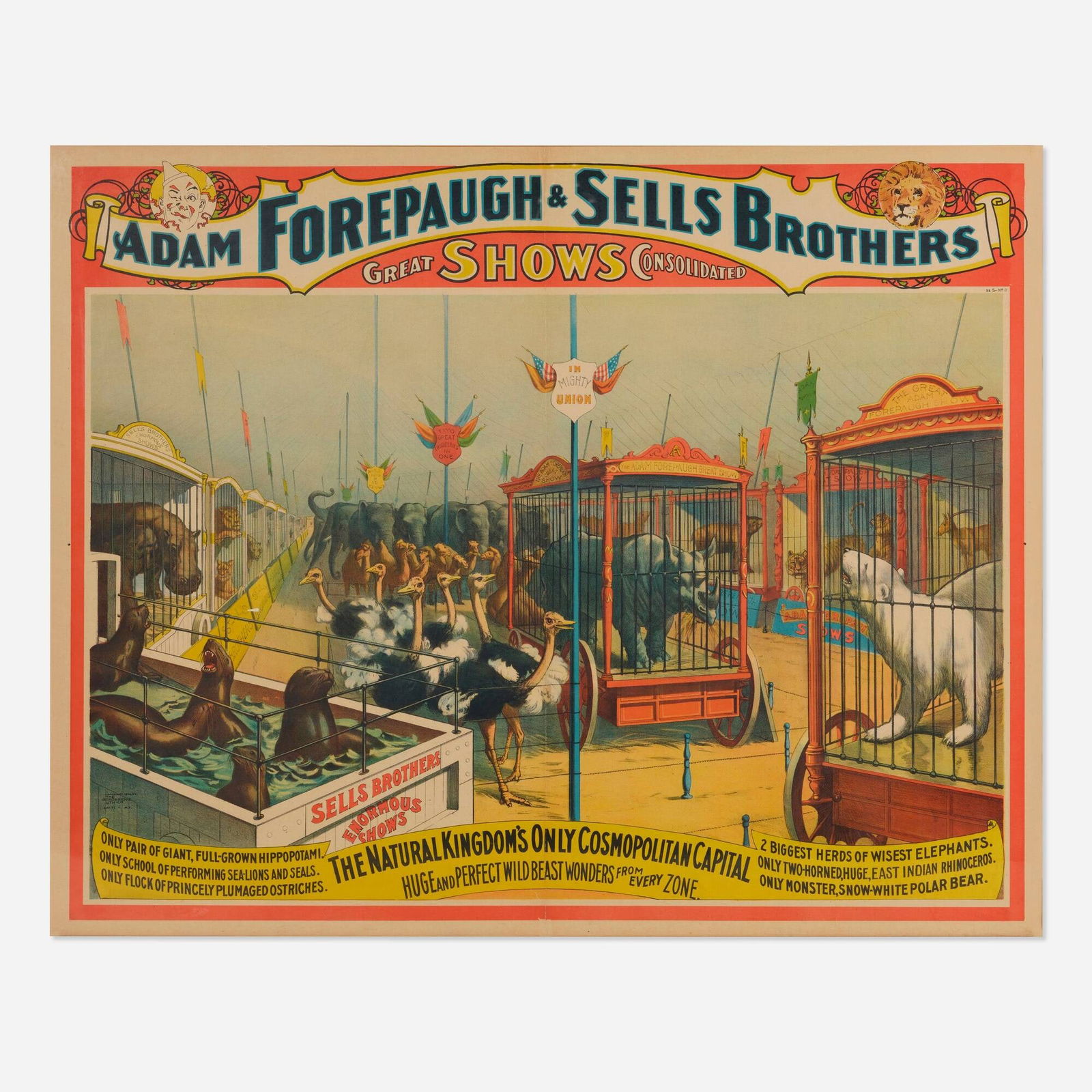 Forepaugh & Sells / Natural Kingdom (1 of 3)