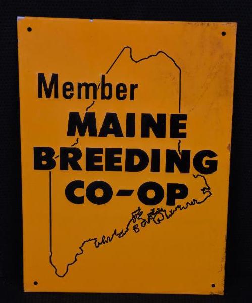 Member Maine Breeding Co-Op Metal Sign: SST embossed sign has good color and shine, 13.5"x9.5", rated 9. TAC #008024