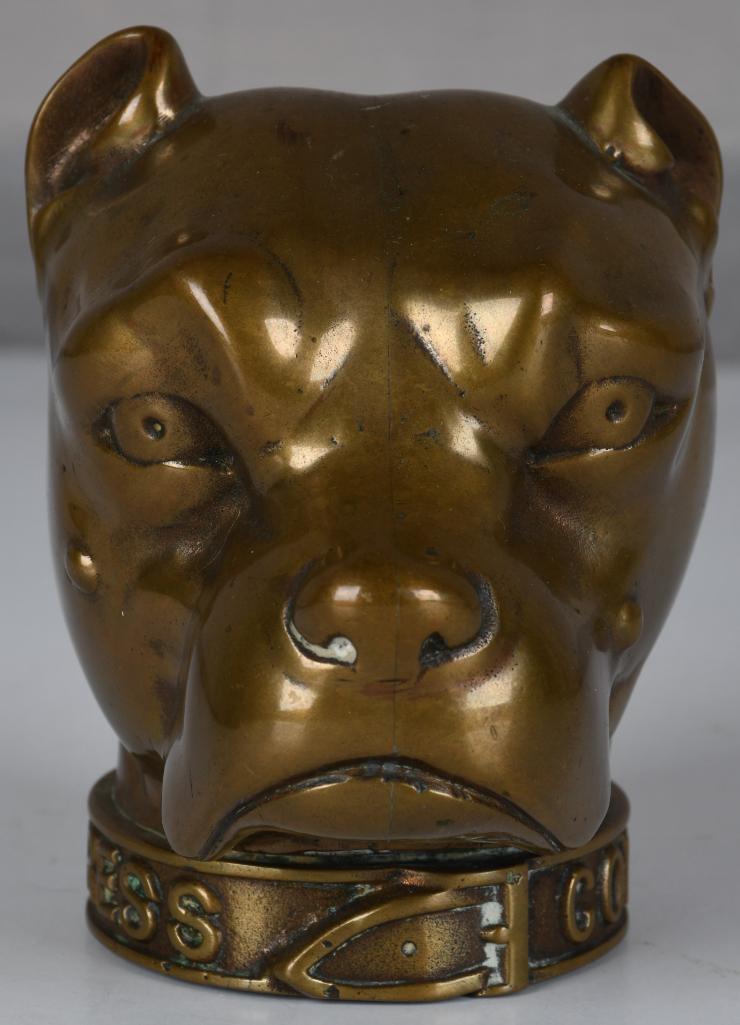 American Express Company Brass Bulldog Head Paperweight (1 of 5)