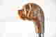 item-125401210=2