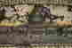 item-131014573=4