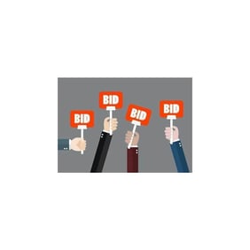 Bidding Options