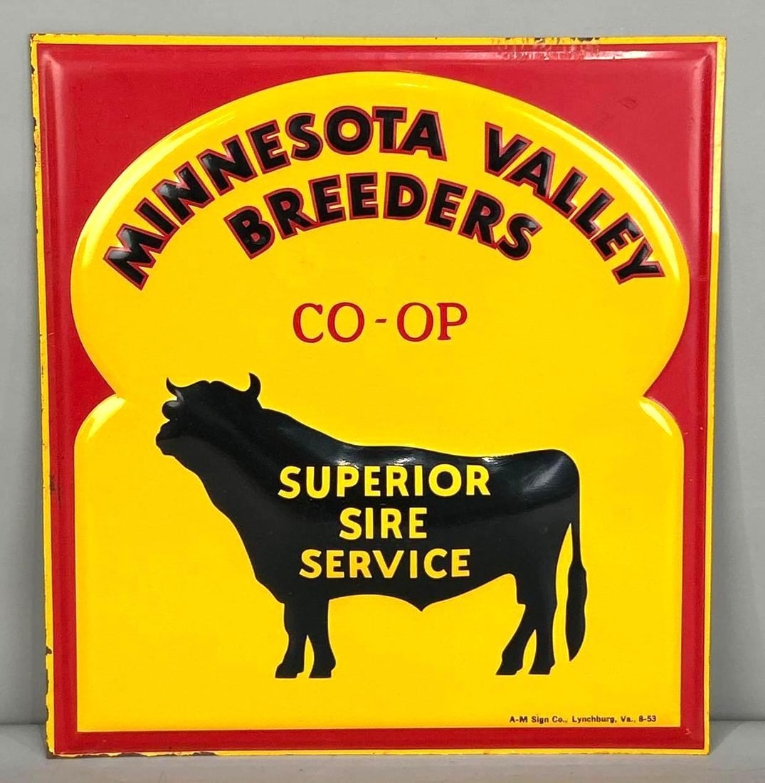 Minnesota Valley Breeders Co-Op Embossed Tin Sign W/ Bull Graphic: (Rated 9.0) 12" x 13". This SST sign has strong color and gloss throughout the field. Sign shows minimal paint loss and staining on the outer edge. Marked, "A-M Sign Co." Rarity 2. TAC # 062249