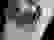 item-55641129=3