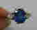 item-55641170=1