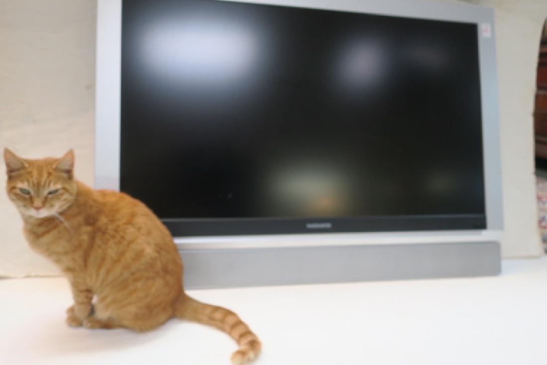 MAGNAVOX 42" Flat Screen LCD TV, Model 42MF531D/37:: MAGNAVOX 42" Flat Screen LCD TV, Model 42MF531D/37: 26"T X 41"W. Stereo with 2 Built In Speakers. Made by Phillips, Weight 78lbs. 1366x768 Resolution. (200-400)