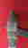 item-73735528=4