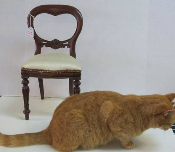 Mahogany Balloon Back Upholstered Doll Chair