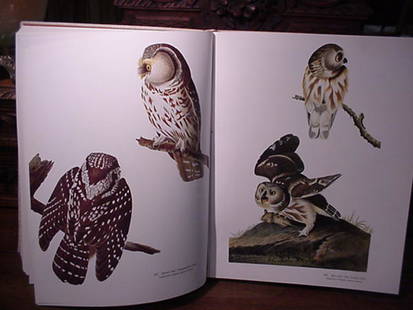 Audubon's Birds of America, Peterson, 1981: Audubon's Birds of America, Peterson, 1981: Birds of America Coffee Table Book by Roger Tory and Virginia Peterson. Published 1981. Over 400 Full Color Illustrations. Baby Elephant Folio Size. 15 x