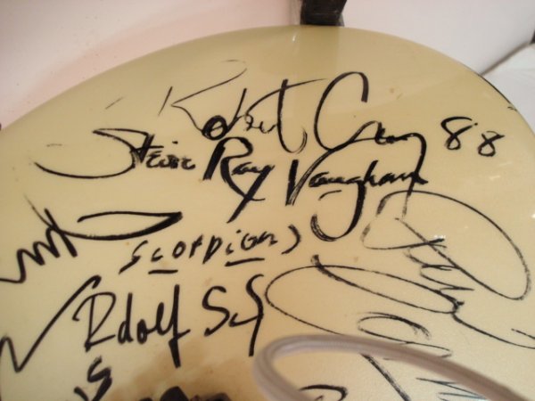 ROBIN Handmade Electric Guitar Signed by 37 Artis - 2