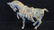 Bronze Horse Sculpture GANSU and TANG HORSES: - 3