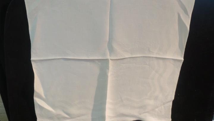 SS UNITED STATES, Five Fancy White Linen Napkins:: SS UNITED STATES, Five Fancy White Linen Napkins: With Embossed Wave Pattern and US Lines Logo in Center. 20" Square. Very Good Condition. From SS UNITED STATES AUCTION, OCTOBER 1984. (100-200)