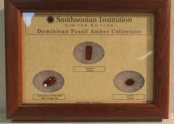 SMITHSONIAN INSTITUTION Fossil Amber Collection:: SMITHSONIAN INSTITUTION Fossil Amber Collection: Limited Edition Dominican Fossil Amber Collection with Three 25 Million Year old Insects Trapped in Small Pieces of Amber. A Beetle, a Male Winged Ant 