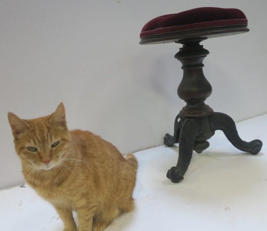 Mahogany Victorian Upholstered Piano Stool: Velvet (1 of 3)