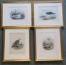 Four Bird Prints by Lithographer JOHN G KEULEMAN: Dutch