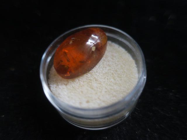 FOSSIL; Cut Amber Fossil Stone with Insect Embedded: (1 of 3)