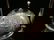 101: MERIDAN Silverplate Victorian Dome Butter Server: - 3