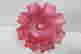 item-114084051=3