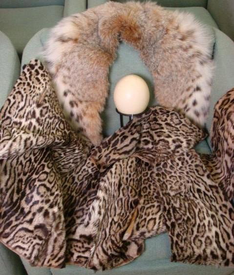 Four Ocelot Pelts, Ostrich Egg and Fox Collar:: Four Ocelot Pelts, Ostrich Egg and Fox Collar: Striped and Spotted Skins, No 2 Alike. Blown Egg on Stand, Cleaned with One Hole. Wide Satin Lined Collar for Coat. (100-200)