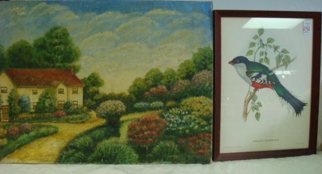 Oil on Canvas Cottage Scene, Tinted GOULD Bird Pri: Oil on Canvas Cottage Scene, Tinted GOULD Bird Print: Oil Signed J Brown LR is 18" X 24", Some Cracking. Hullmandel Print of Trogon Temnurus (National Bird of Cuba) from Stone Litho by J & E Gould. 13