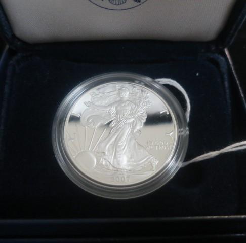 2007W AMERICAN EAGLE Proof .999 Silver Bullion Coin:: 2007W AMERICAN EAGLE Proof .999 Silver Bullion Coin: Excellent Condition. One Troy Ounce of 99.9% Pure Silver Bullion Coin. In US Mint Display Packaging with Certificate of Authenticity. Redbook Value