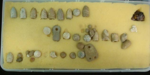 30+ Dug Civil War Bullets:: 30+ Dug Civil War Bullets: Dug and Sifted from the Wilderness Battle Field Area Before the Current Ban by Owners Father. Various Minnie Balls, Musket Balls and Buckshot including Ball Stuck in Wood Fr