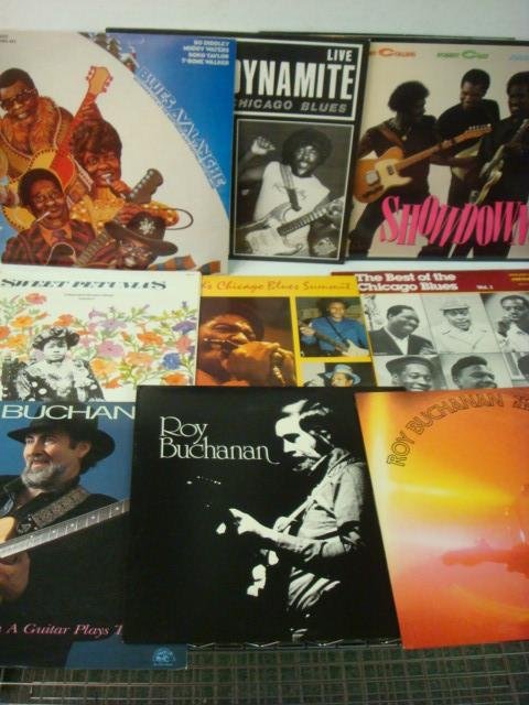 Ten Rhythm and Blues Record Albums:: Ten Rhythm and Blues Record Albums: Blues Rarities, Eric Burdon, 3 Roy Buchanan Albums, The Sweet Petunias, Chicago Blues Summit, Showdown, Blues Avalanche, Best of Chicago Blues. (50-100)