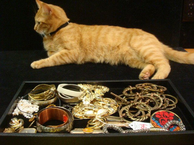 Costume Jewelry and Fashion Accessories: Costume Jewelry and Fashion Accessories: Belt Buckles, 2 Goldtone Pen Knives, 42" Ring Loop Metal Belt, Elastic Sweater Clips, Choker with Magnetic Closure, Star of David, Monet Pin, Cuff and Bangle B