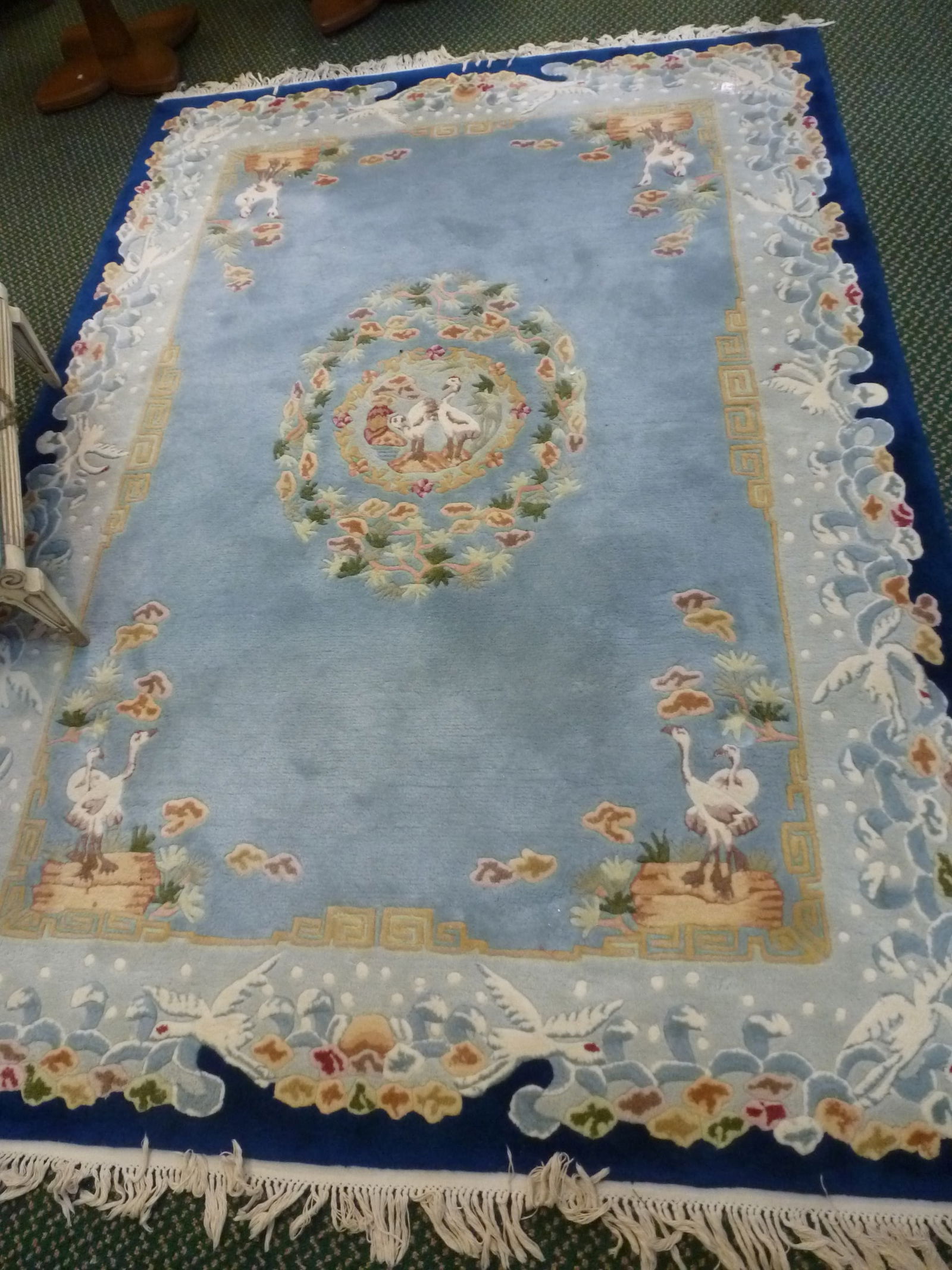 Virgin Wool Pictorial Bird Themed Rug 5'6" x 7'10": (1 of 3)