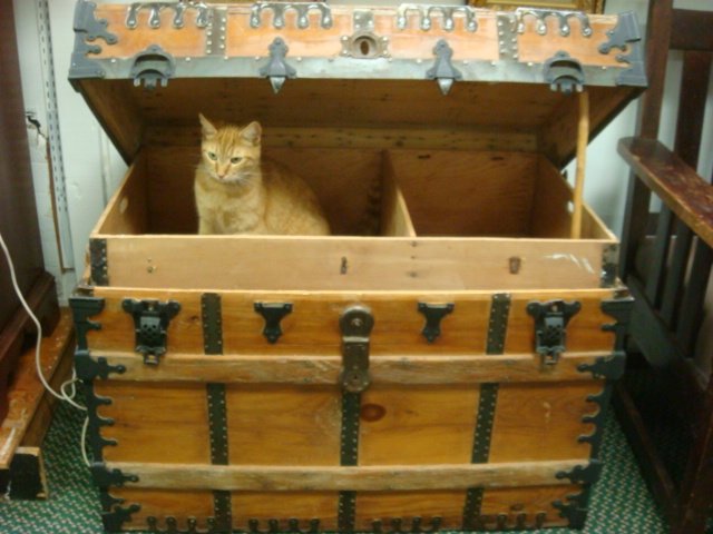 Metal and Wood Banded Vintage Steamer Trunk with T: Metal and Wood Banded Vintage Steamer Trunk with Till: 26"T X 36"W X 20"D. Iron and Wood Grained Straps with Metal Hasps and End Caps. Leather Side Handles. Divided Lift Out Till. (200-300)