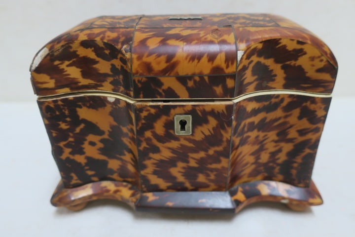 19th C. English Regency Tortoiseshell Tea Caddy: (1 of 5)