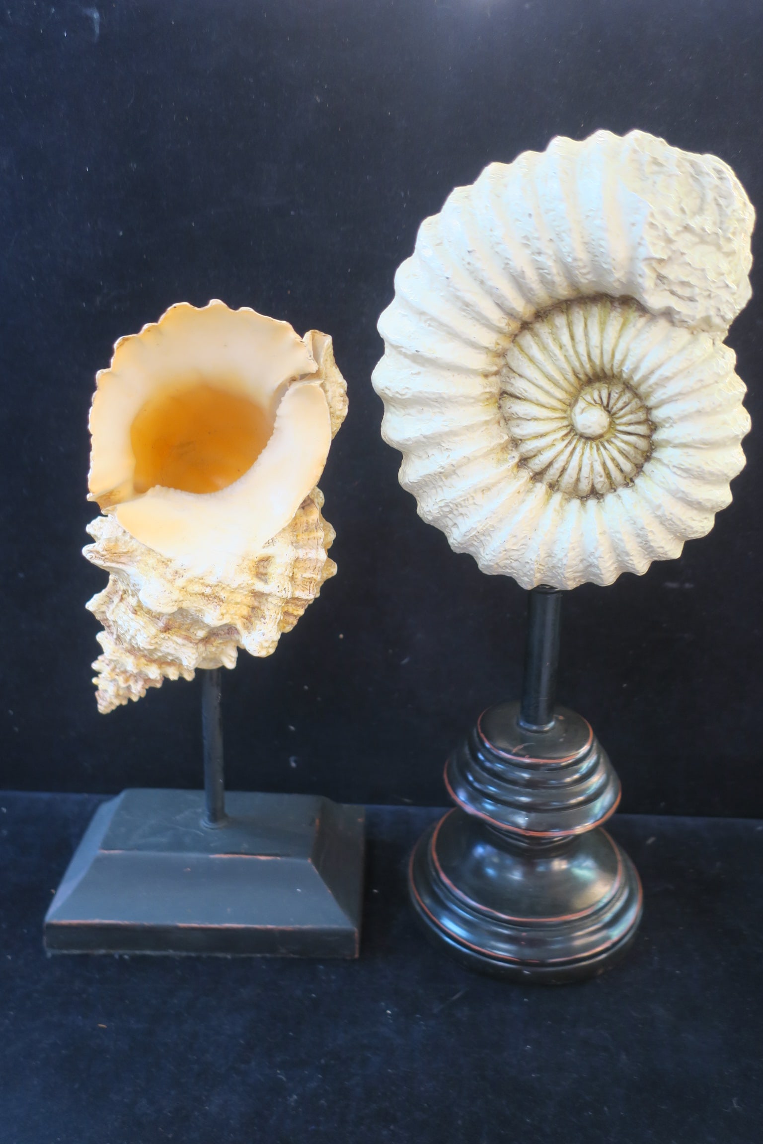 Two Resin Decorative Seashells on Stands: (1 of 4)