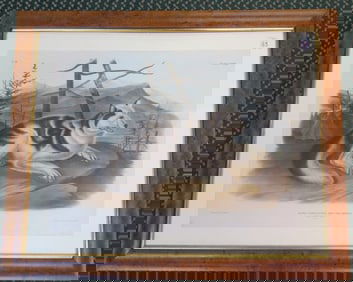 J.W. AUAUBON Hand colored Lithograph Hare Indian Dog: